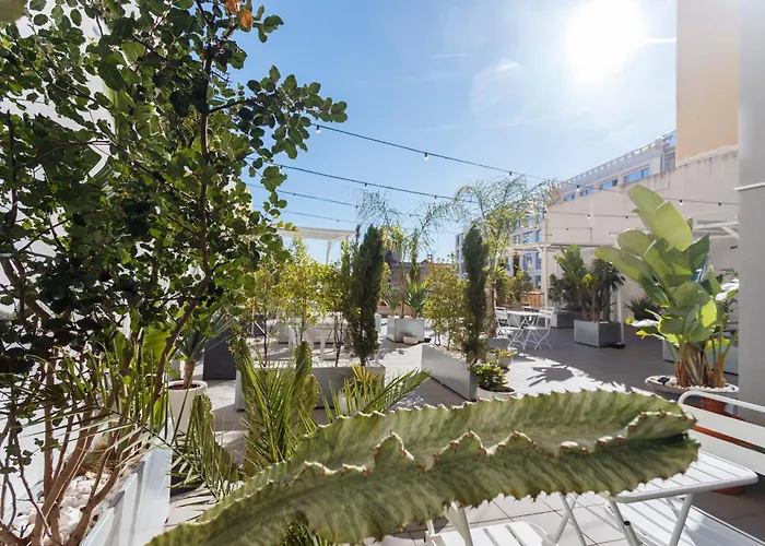 Expresso Martinis In By Misha's Place 4c Lisboa